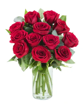 15 red roses, red rose bouquet, bouquet of red roses, 15 red roses delivery, red roses delivery Norway, bouquet delivery Norway, send roses Norway, Valentine’s Day roses, romantic flower delivery, red roses for special occasions, flower delivery Norway, o